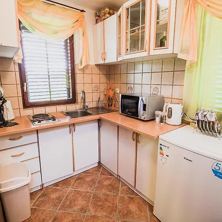 Holiday Home Vesna With Sauna Brezice Exterior photo