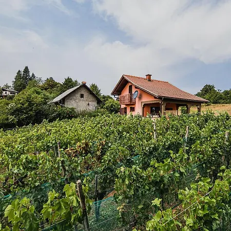 Holiday Home Vesna With Sauna Brezice Exterior photo