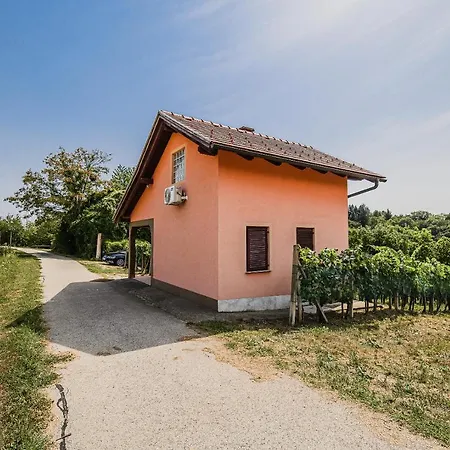 Holiday Home Vesna With Sauna Brezice Exterior photo