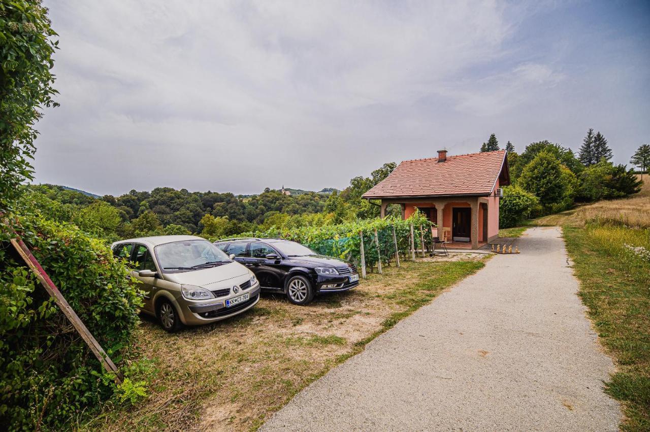 Vesna With Sauna Prázdninový dům Brežice