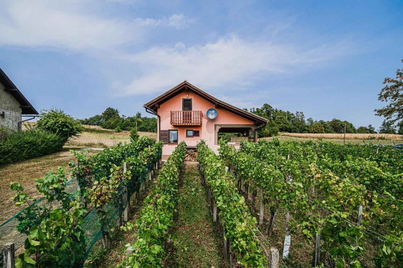 Prázdninový dům Vesna With Sauna